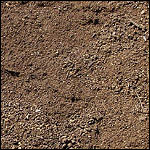 Screened Topsoil